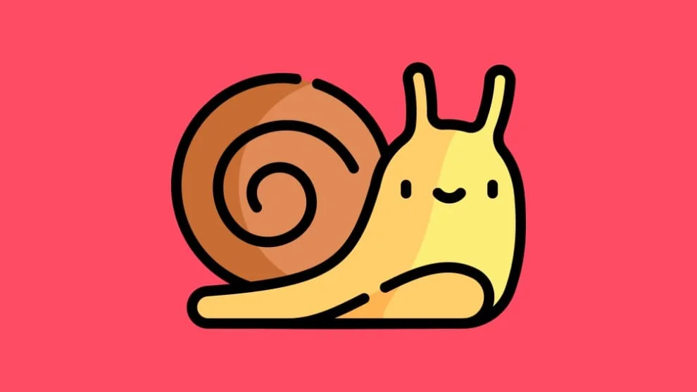 snail