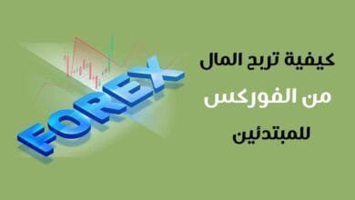 كيف تربح من فوركس